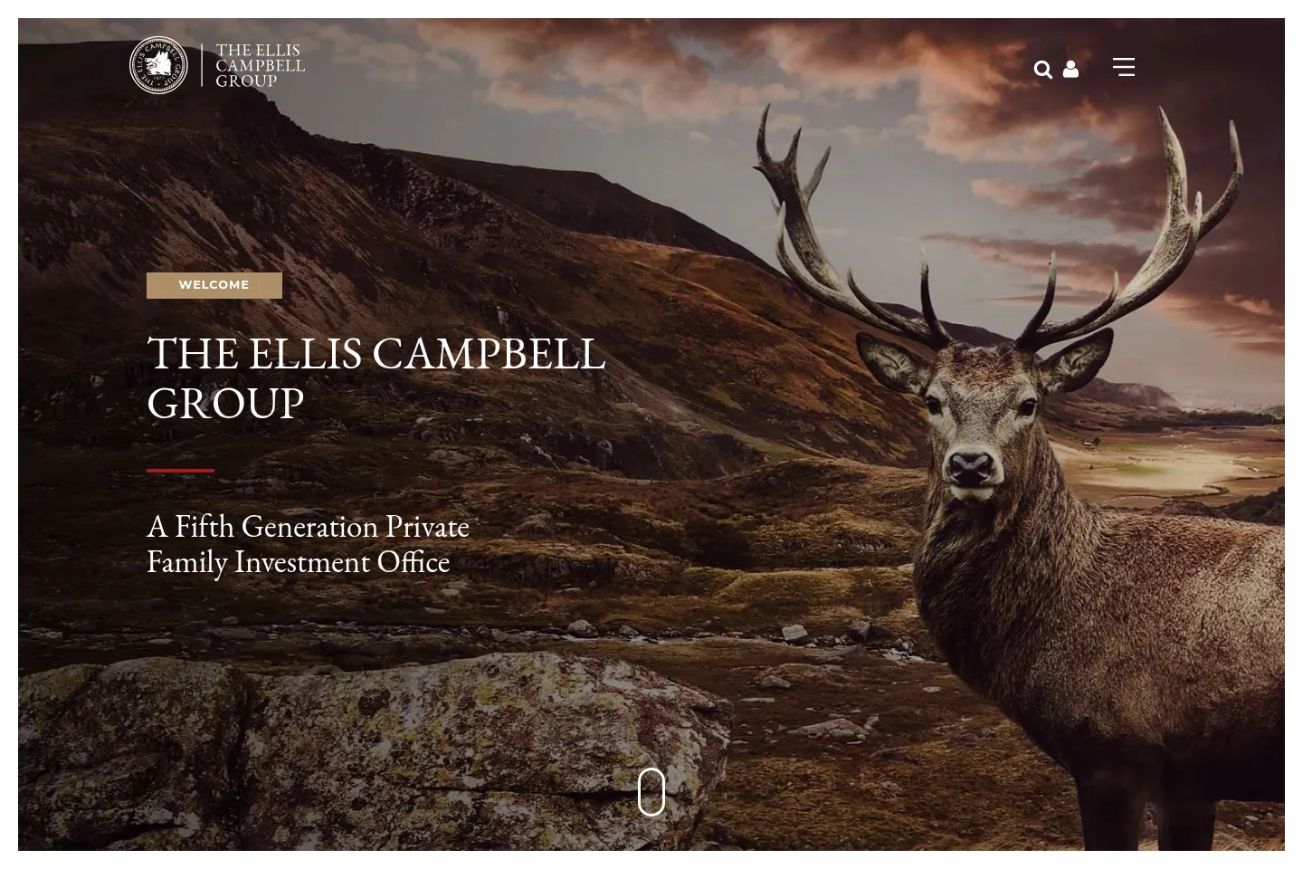 First screen of Ellis Campbell Group